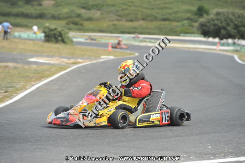 DSC (3442).JPG